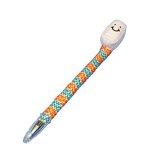 はみがっきーイメージ画像