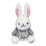 BMWうさぎイメージ画像