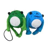 シュレーゲルメタボガエルブルー＆グリーンイメージ画像