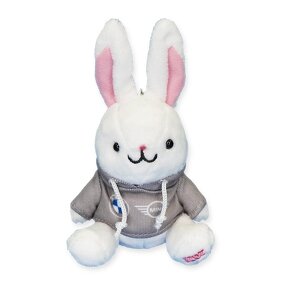 BMWうさぎイメージ画像