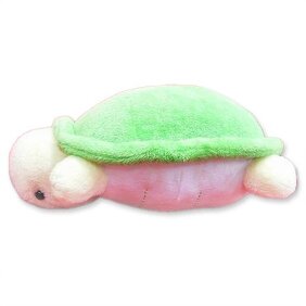 カメイメージ画像