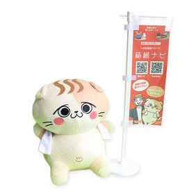 コネたまイメージ画像