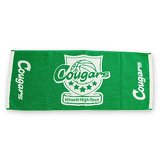 日立ハイテククーガーズイメージ画像