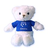 COGMAイメージ画像