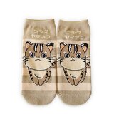 ツシマヤマネコイメージ画像