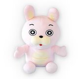 桃色ウサヒイメージ画像