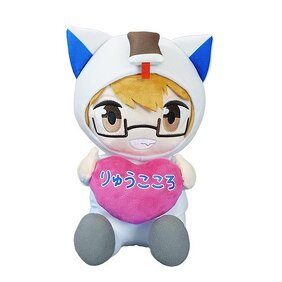 りゅうこころイメージ画像