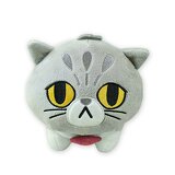 プリンセスイメージ画像