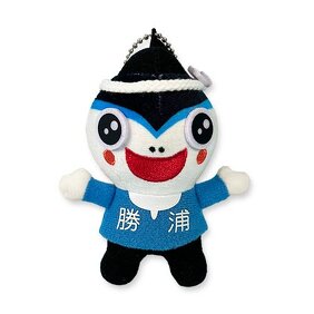 勝浦カッピーイメージ画像