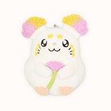 スターチュスイメージ画像