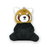 レッサーパンダイメージ画像