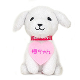 梅ちゃんイメージ画像