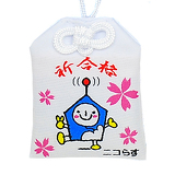 ニコラスイメージ画像