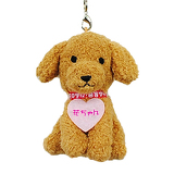 花ちゃんイメージ画像