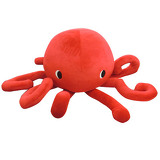 タコイメージ画像