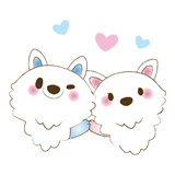 しろいぬカフェイメージ画像