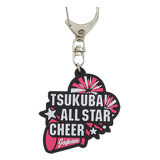 つくばオールスターチアイメージ画像