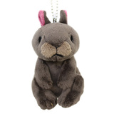 うさぎイメージ画像