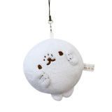 かんザラシイメージ画像