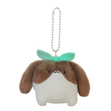 ベベイメージ画像