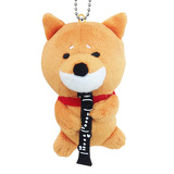 柴犬ラクイメージ画像