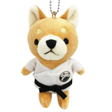 空手動物（柴犬）イメージ画像