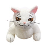 にゃんこたろうイメージ画像