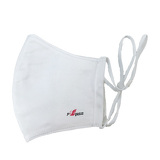 ペガサスグローバル エクスプレスイメージ画像