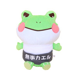 無事カエル野郎イメージ画像