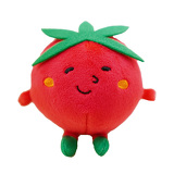 ミニトマトイメージ画像