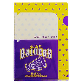 レイダースイメージ画像