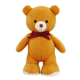 ニューフラッフィーベアイメージ画像