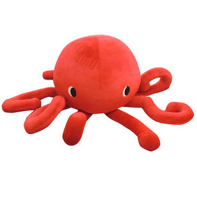 タコイメージ画像