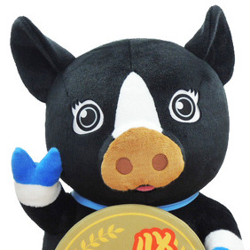 かっちゃんイメージ画像