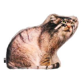 エルイメージ画像