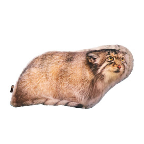 ハニーイメージ画像