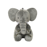 ゾウイメージ画像