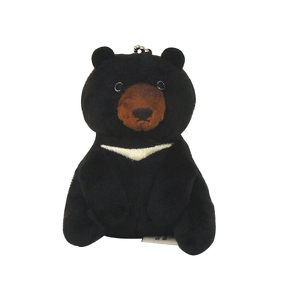 クマイメージ画像