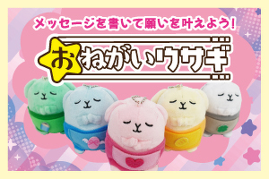 おねがいウサギイメージ画像