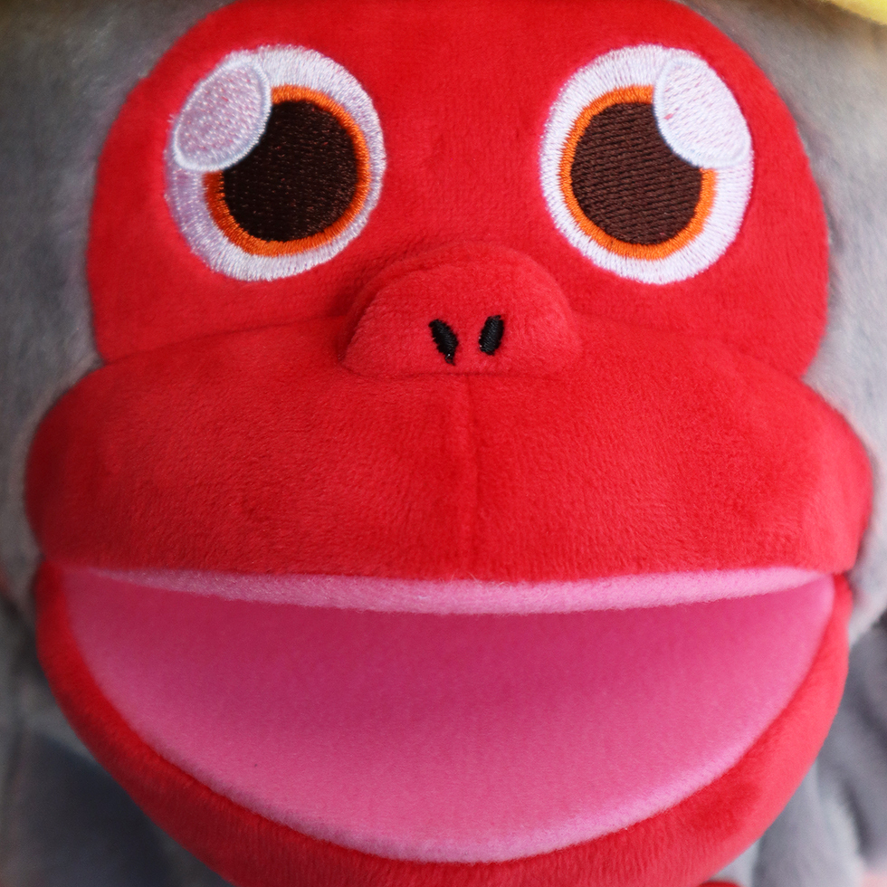 STEPくん 顔アップ