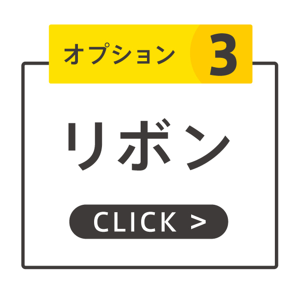 オプション３ リボン