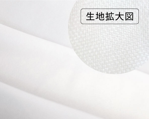 生地拡大図