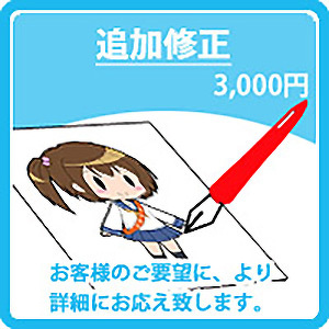 追加修正 3,000円