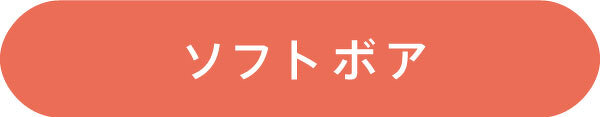 ソフトボア
