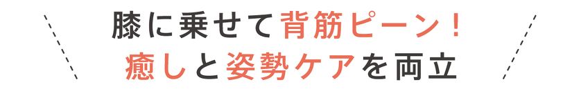 膝に乗せて背筋ピーン! 癒しと姿勢ケアを両立
