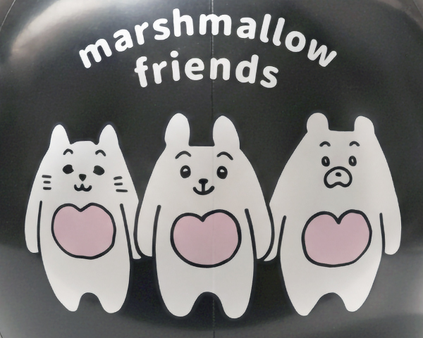 エア―ビーチボール　プリント面