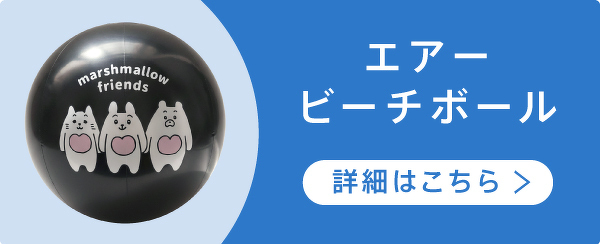 エアービーチボール