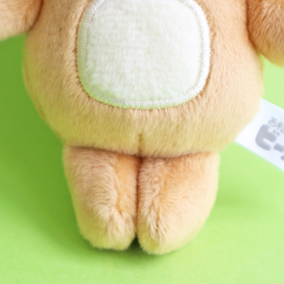 西松ビーバー　足