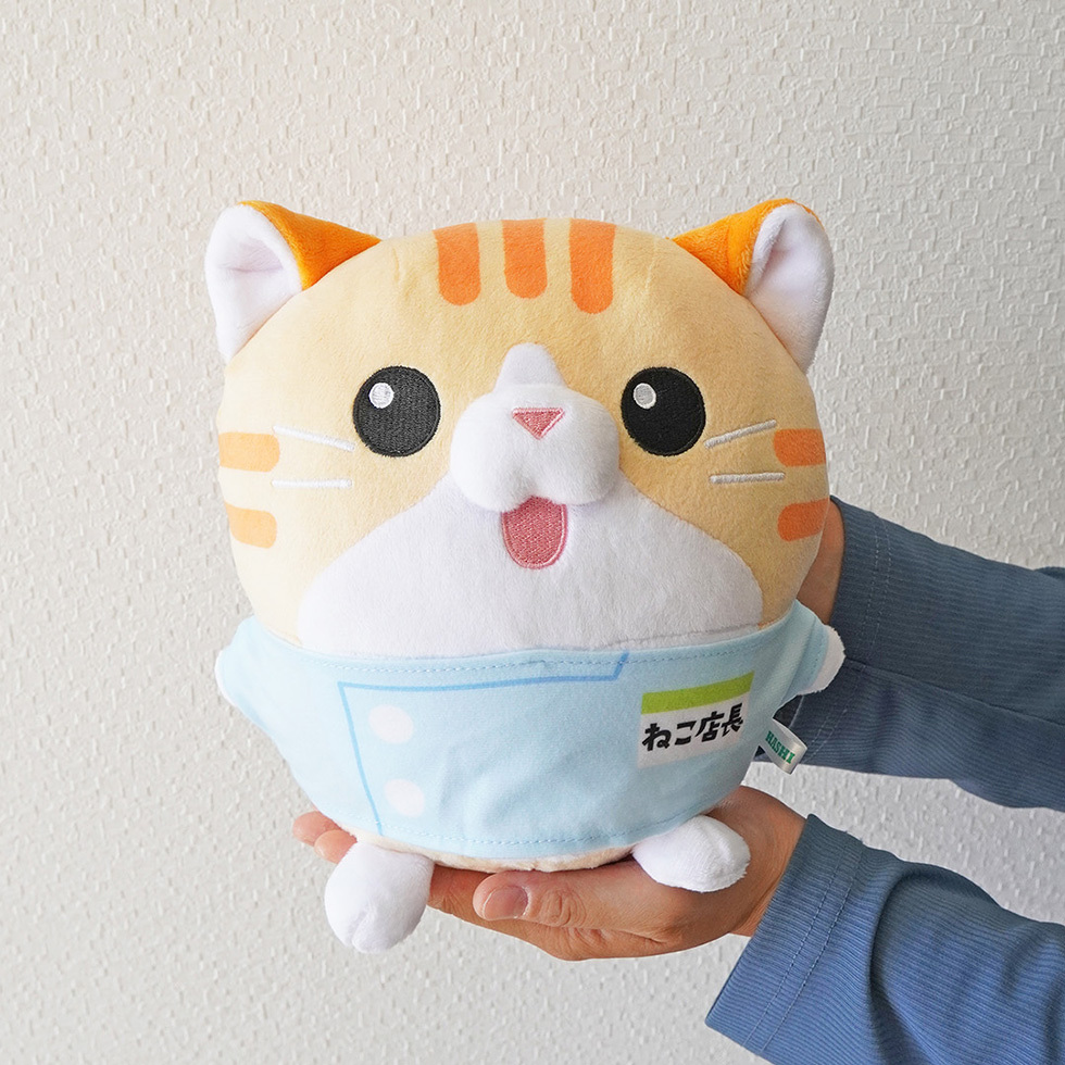 ねこ店長　 手持ち