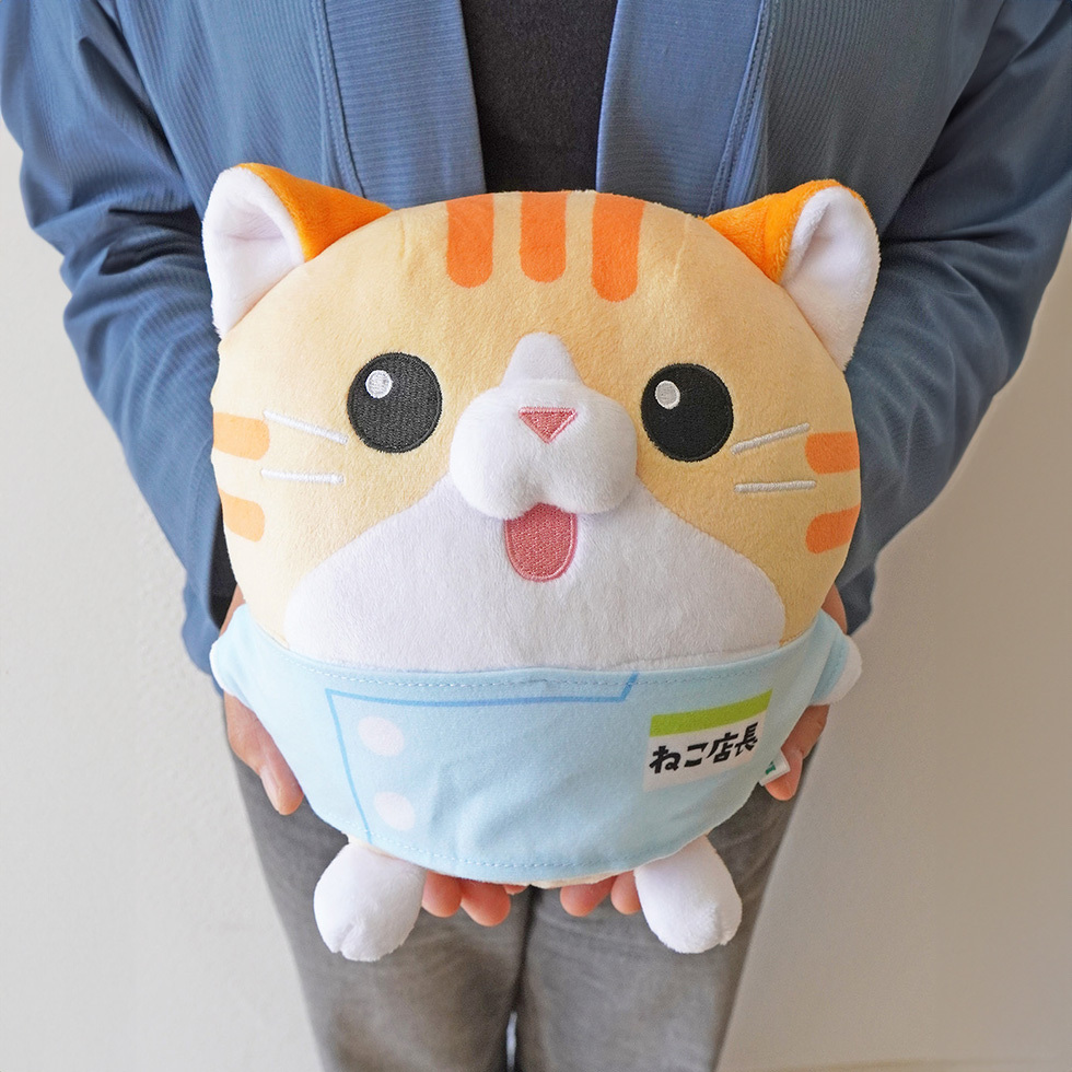 ねこ店長　抱っこ